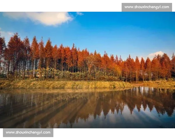 吴兴碧波竞渡:名校学子共谱青春友谊曲 吴兴碧波竞渡:名校学子共谱青春友谊曲