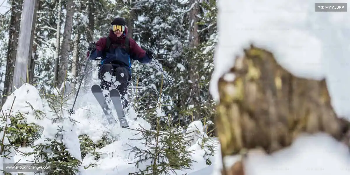 为什么选择我们